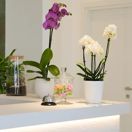 San Giorgio 2* Vieste